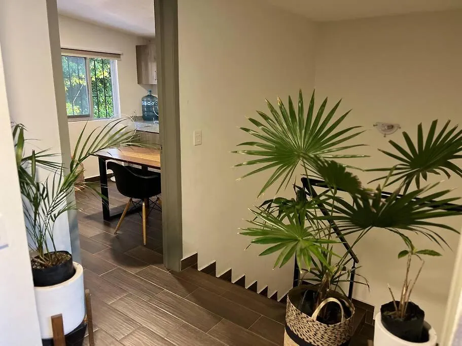 Ferienwohnung Departamento Con Terraza En El Corazon Guadalajara 0*,
